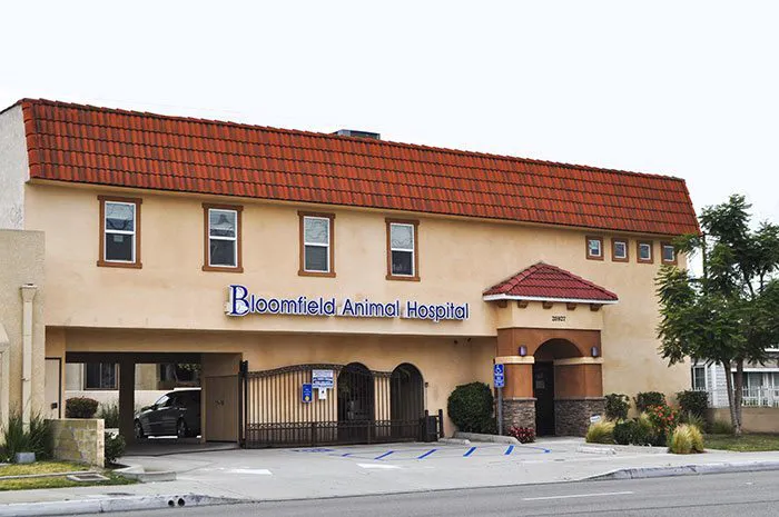 Bloomfield Animal Hospital Picture 3