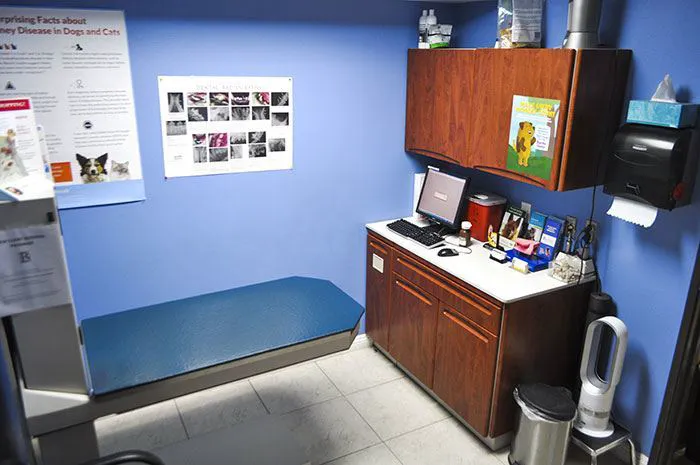 Bloomfield Animal Hospital Picture 2