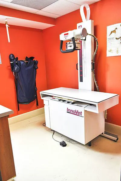 Bloomfield Animal Hospital Picture 6