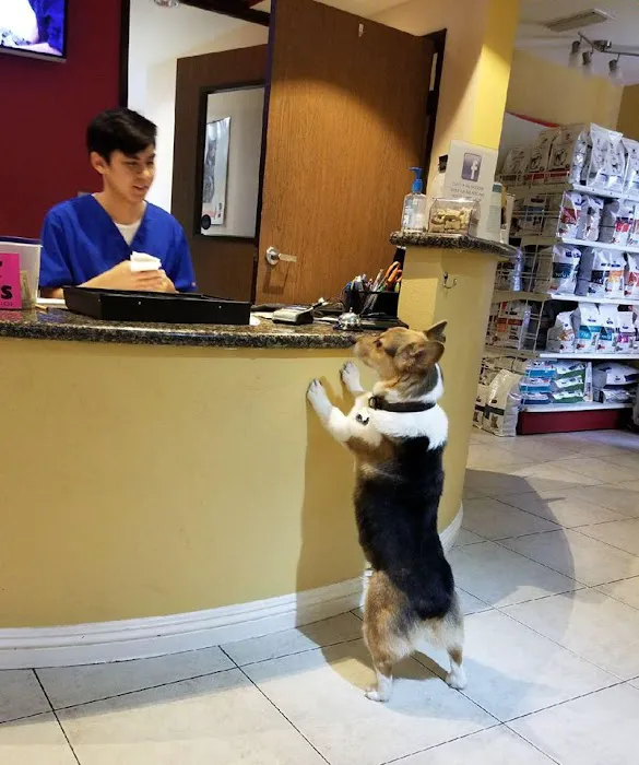 Bloomfield Animal Hospital Picture 9