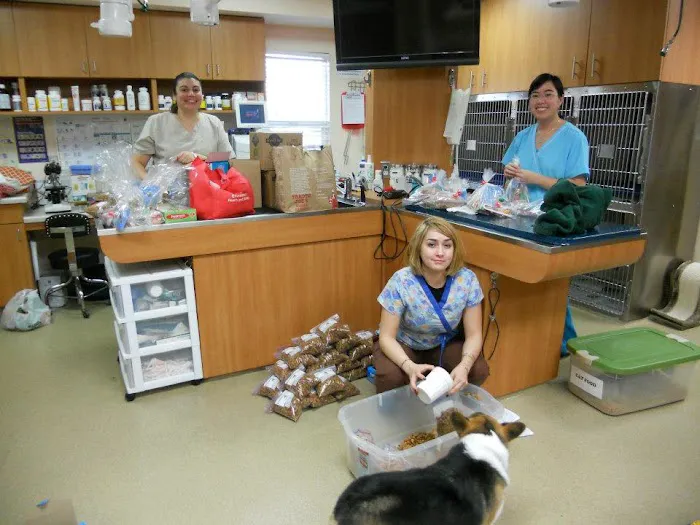 Bloomfield Animal Hospital Picture 10