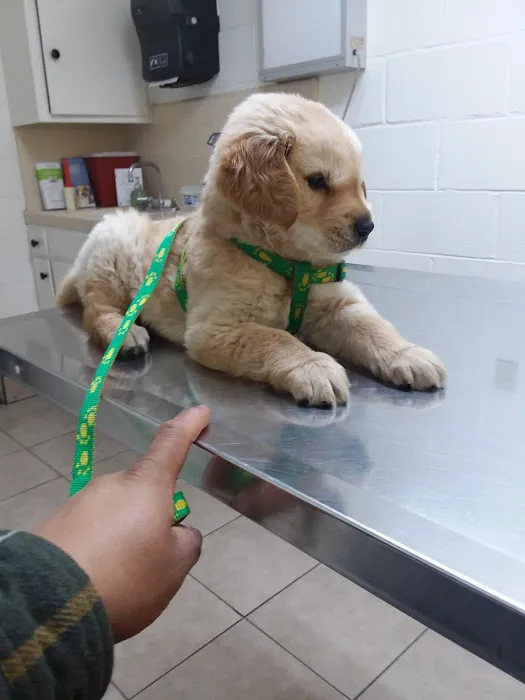 Affordable Animal Hospital: Compton Picture 5