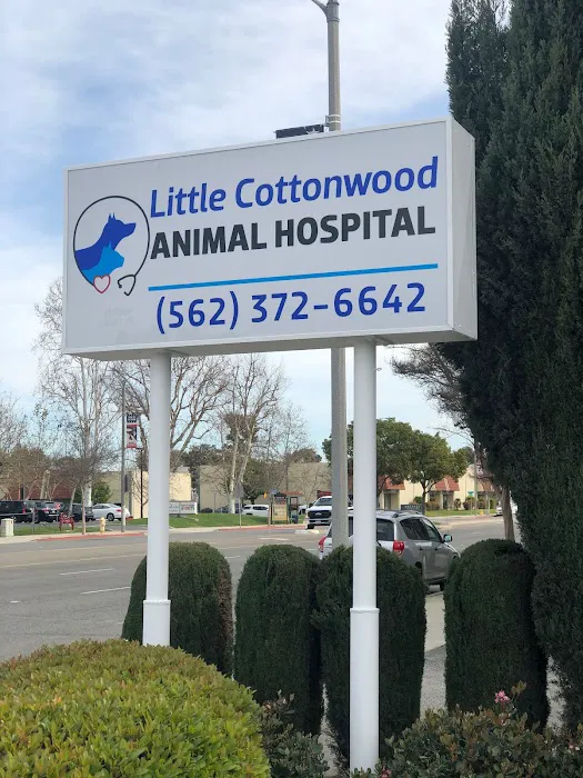 Little Cottonwood Animal Hospital Picture 7