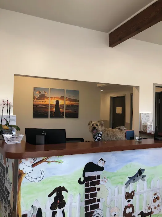 Little Cottonwood Animal Hospital Picture 10