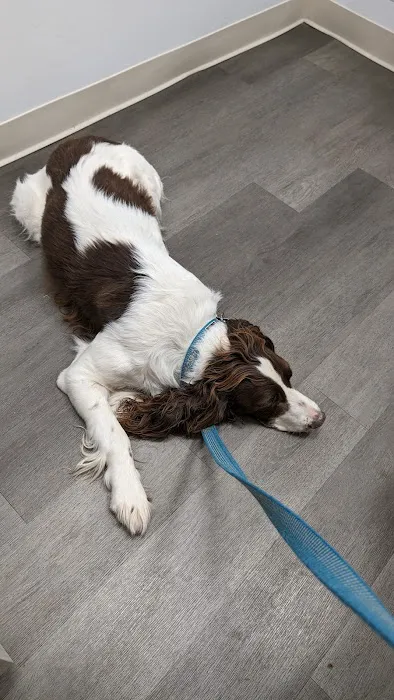 Southwest Animal Clinic Picture 1