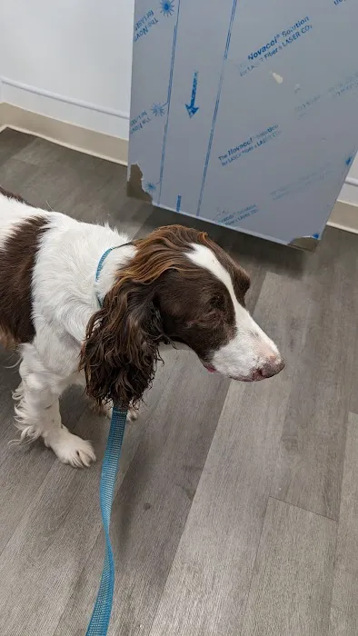 Southwest Animal Clinic Picture 7