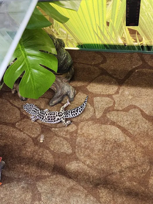Banfield Pet Hospital Picture 7