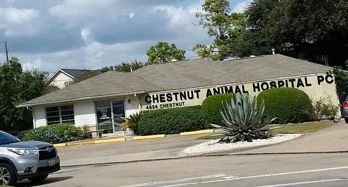 Chestnut Animal Hospital PC Picture 1