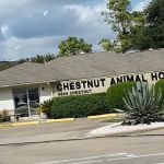 Chestnut Animal Hospital PC