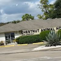 Chestnut Animal Hospital PC ico