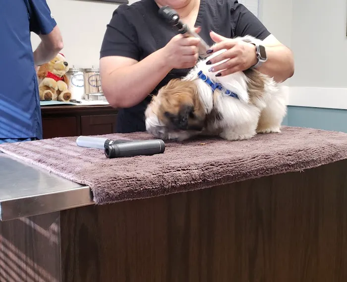 Chestnut Animal Hospital PC Picture 6