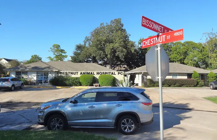 Chestnut Animal Hospital PC Picture 8