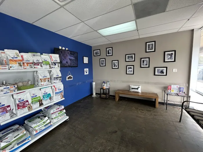 The Corner Vet at Bellaire Picture 2