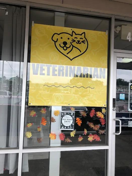 The Corner Vet at Bellaire Picture 8
