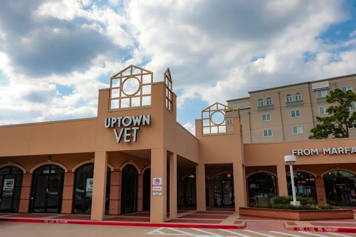 Uptown Veterinary Hospital- Dr. Tahl P. Rozycki Picture 3