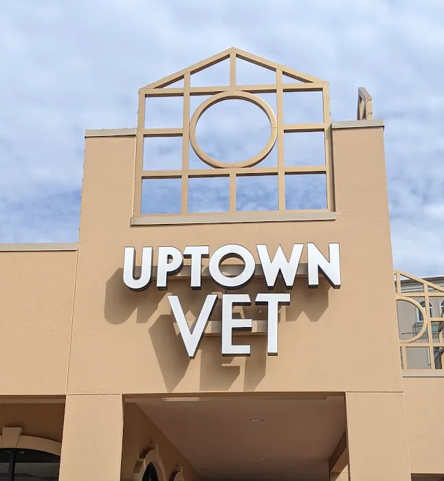 Uptown Veterinary Hospital- Dr. Tahl P. Rozycki Picture 6