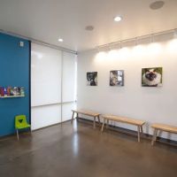Thrive Pet Healthcare - Fountainview ico