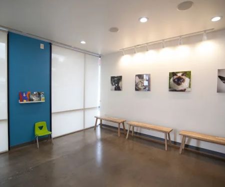 Thrive Pet Healthcare - Fountainview