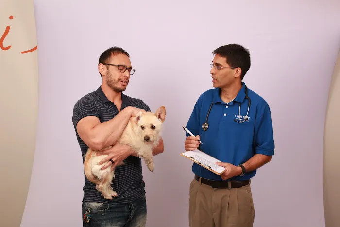 Thrive Pet Healthcare - Fountainview Picture 2