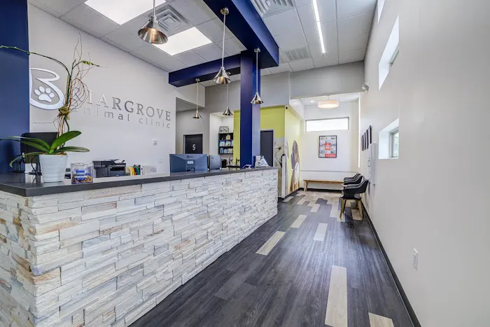 Briargrove Animal Clinic Picture 3