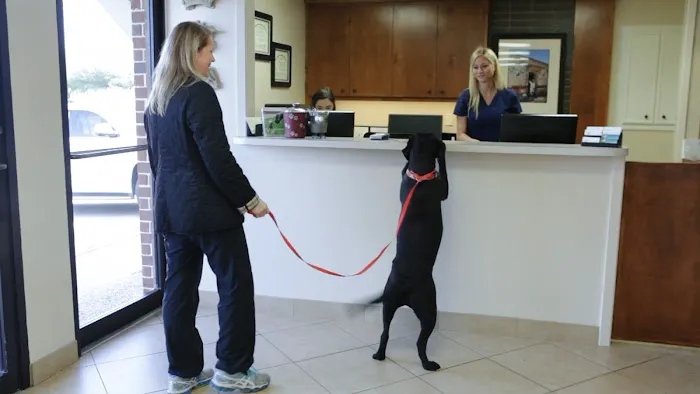 Village Veterinary Clinic Picture 9