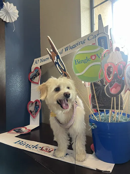 Bingle Veterinary Clinic Picture 1