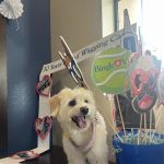 Bingle Veterinary Clinic
