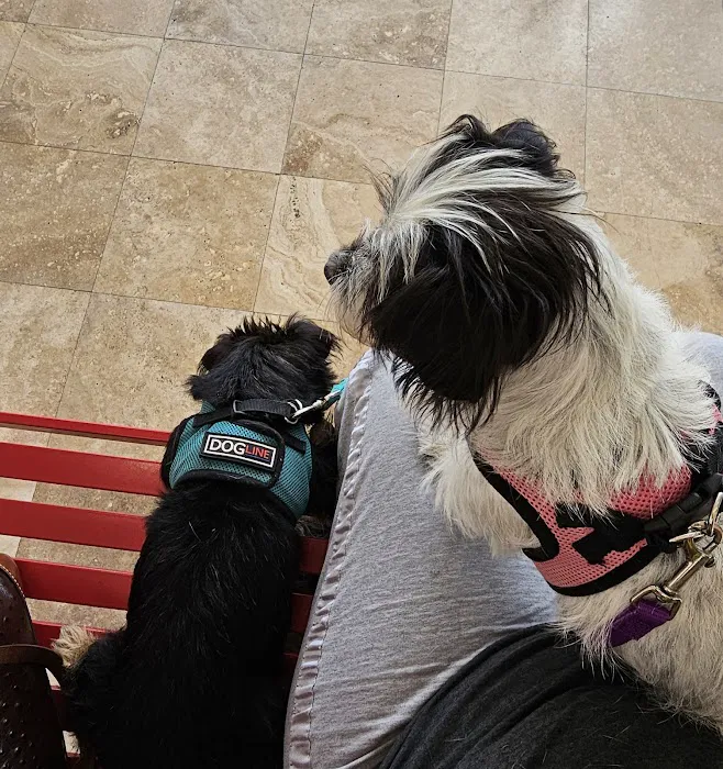 Petcare Express Picture 5