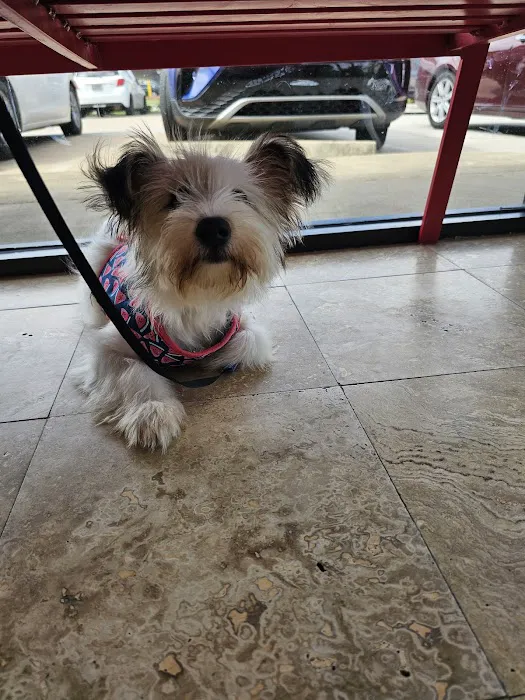 Petcare Express Picture 7