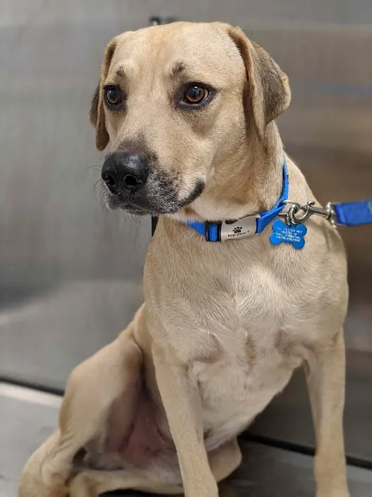Echo Lane Animal Clinic Picture 10
