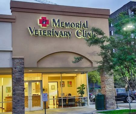Memorial Veterinary Clinic