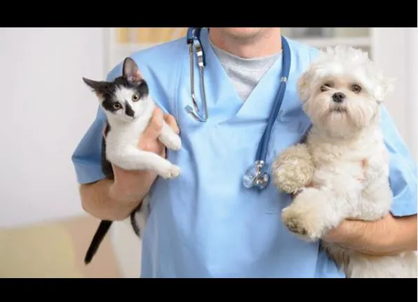 Forest West Animal Clinic Picture 1