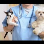 Forest West Animal Clinic