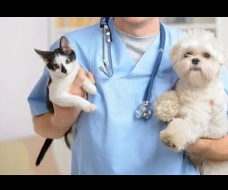Forest West Animal Clinic