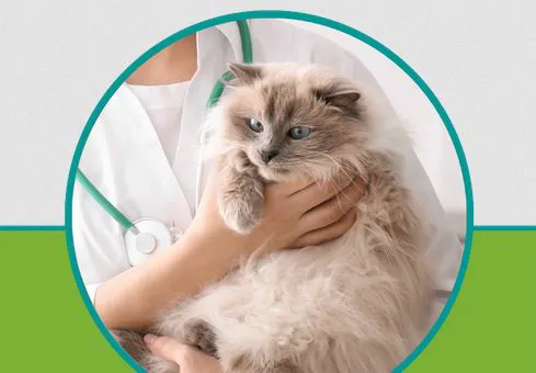Forest West Animal Clinic Picture 5