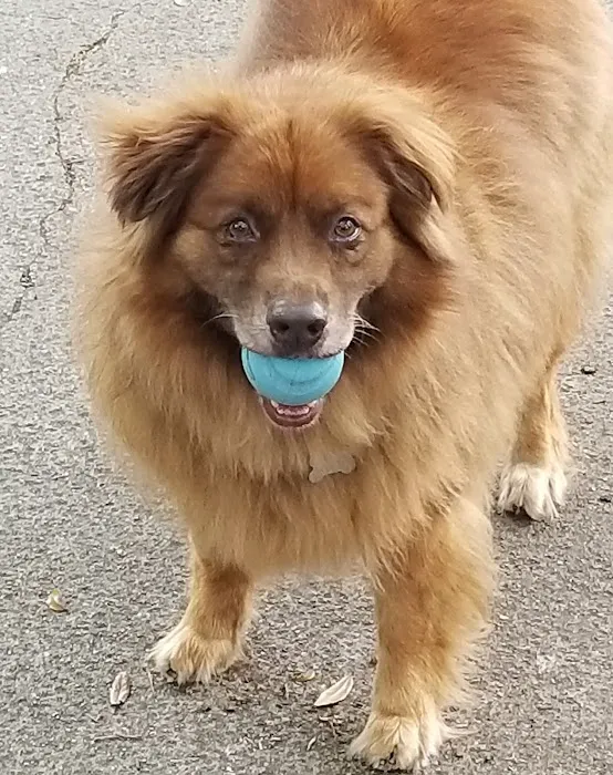 Forest West Animal Clinic Picture 7