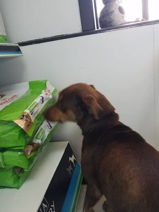 Stella Link Animal Clinic Picture 4