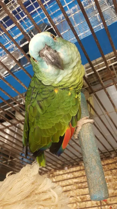 Stella Link Animal Clinic Picture 8