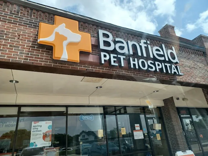 Banfield Pet Hospital Picture 2