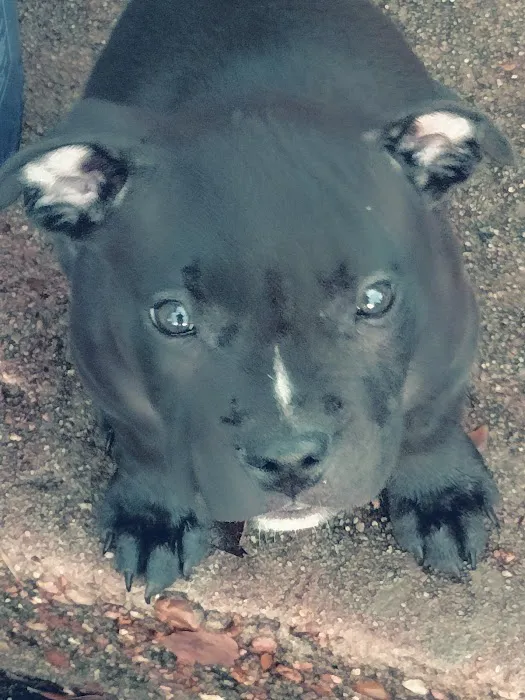 Banfield Pet Hospital Picture 1
