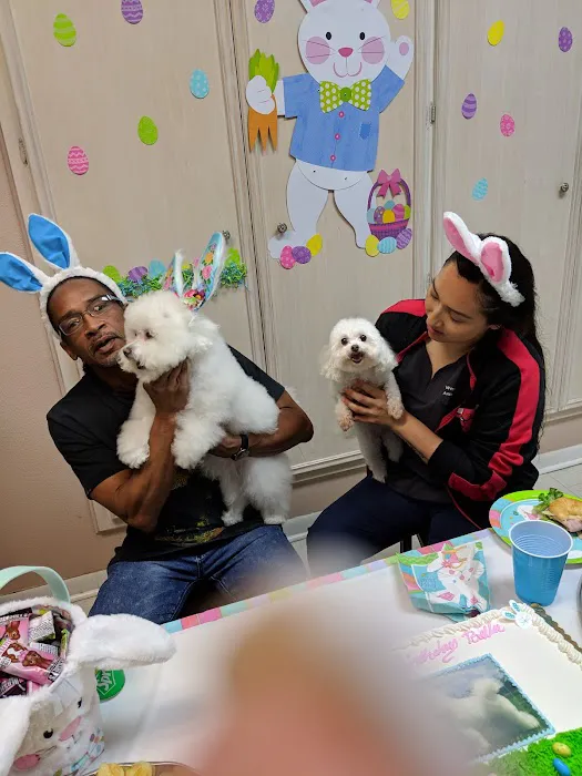 Westheimer Animal Clinic Picture 8