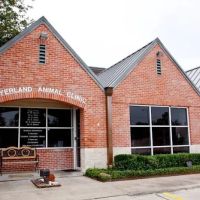 Meyerland Animal Clinic, PA ico