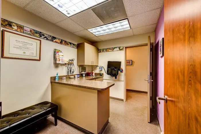 Meyerland Animal Clinic, PA Picture 2