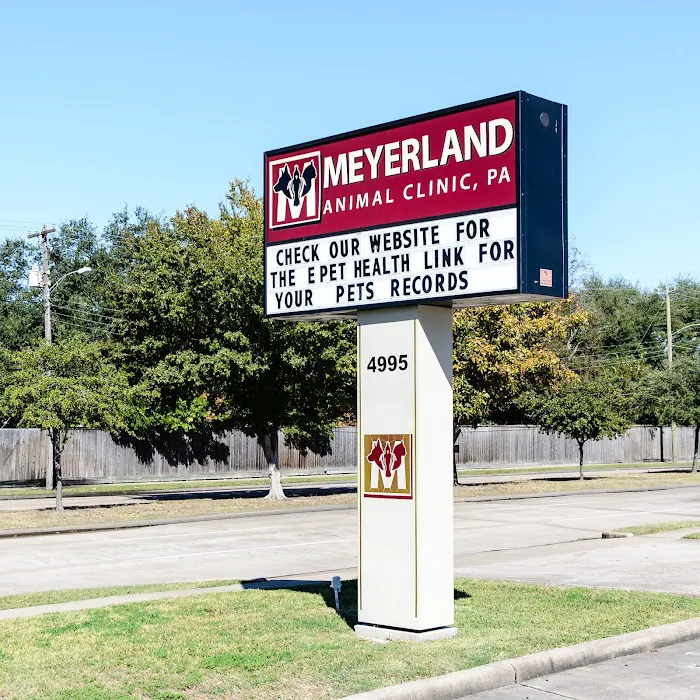 Meyerland Animal Clinic, PA Picture 6