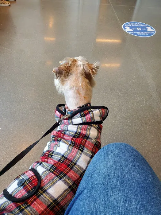 HCPH VETERINARY PUBLIC HEALTH Picture 2