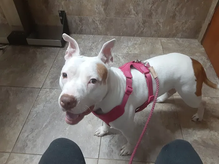 Garza Veterinary Clinic Picture 1