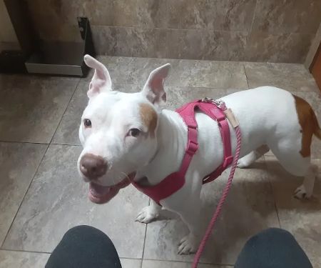 Garza Veterinary Clinic