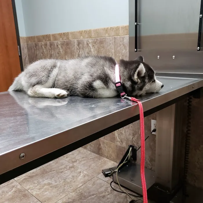 Garza Veterinary Clinic Picture 2