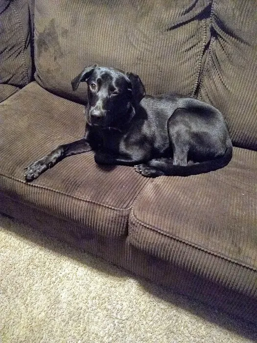 Garza Veterinary Clinic Picture 4
