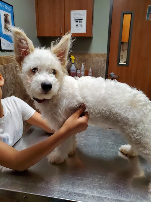 Garza Veterinary Clinic Picture 7